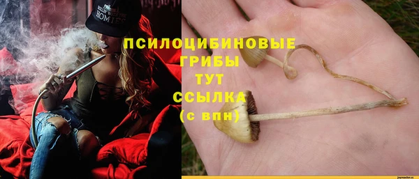 крисы Надым