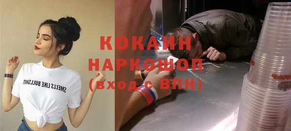 крисы Надым
