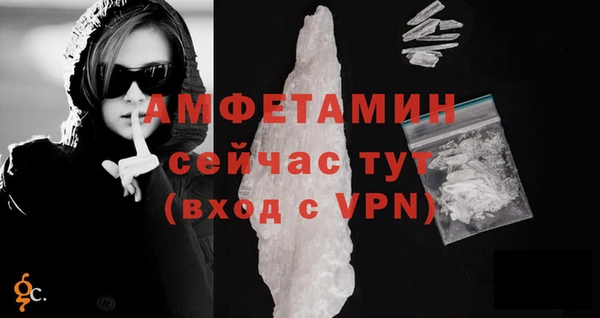 крисы Надым