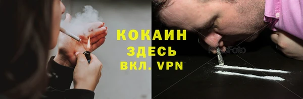 крисы Надым