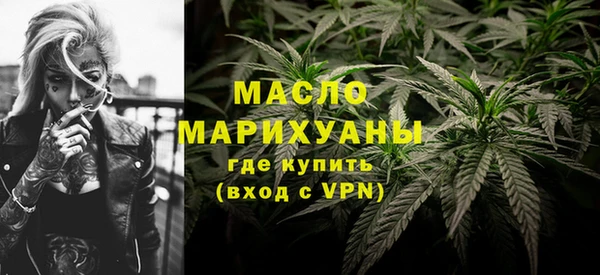 крисы Надым