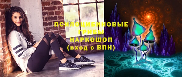 крисы Надым