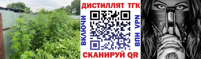 цены   Ачхой-Мартан  Дистиллят ТГК концентрат 