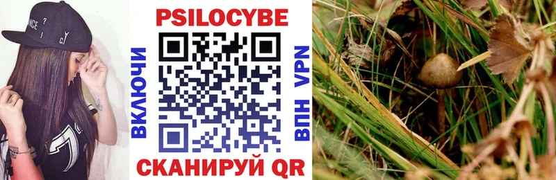 Галлюциногенные грибы ЛСД  blacksprut сайт  Ачхой-Мартан  где можно купить  