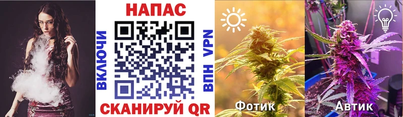 Канабис Bruce Banner  где купить   Ачхой-Мартан 